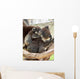 Koala Wall Mural
