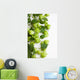 hops Wall Decal