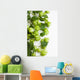 hops Wall Decal