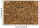 Hieroglyph Wall Mural