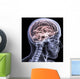 Skeleton X-Ray - Brain 1 Wall Mural
