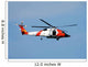 Coast guard helicopter Wall Mural