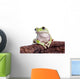 Australian Green Tree Frog Wall Decal