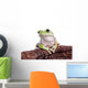 Australian Green Tree Frog Wall Decal