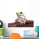 Australian Green Tree Frog Wall Decal