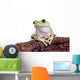 Australian Green Tree Frog Wall Decal