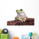 Australian Green Tree Frog Wall Decal