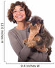 Donna e bassotto sorridenti Wall Decal