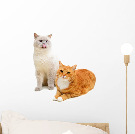 Two Cats Wall Decal