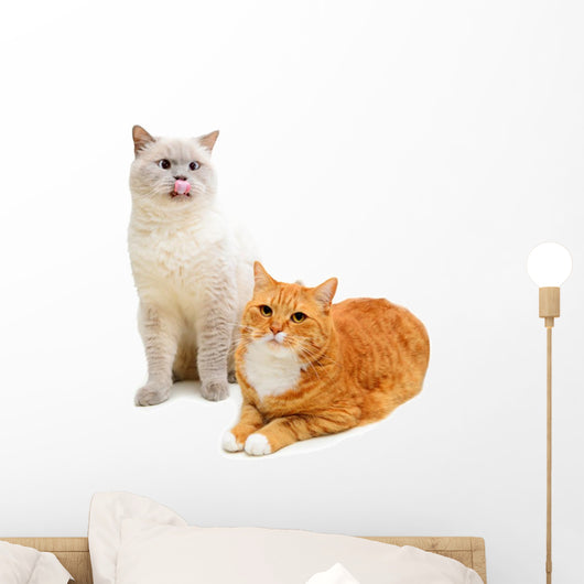 Two Cats Wall Decal