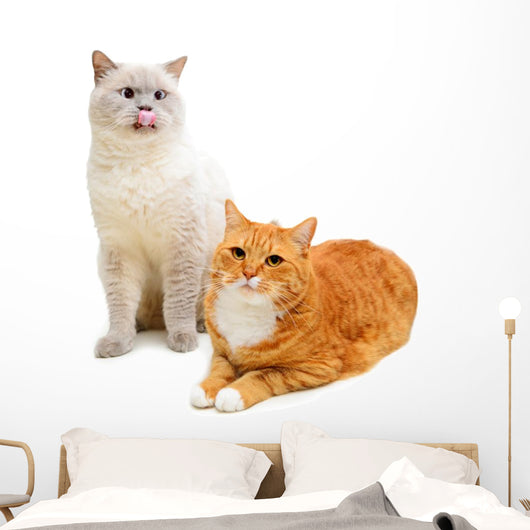 Two Cats Wall Decal