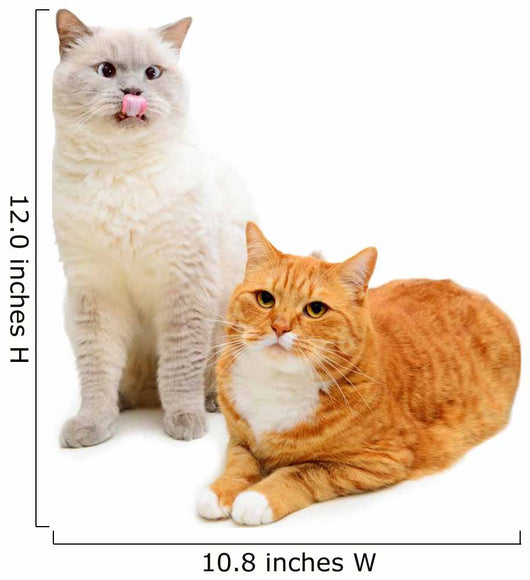 Two Cats Wall Decal