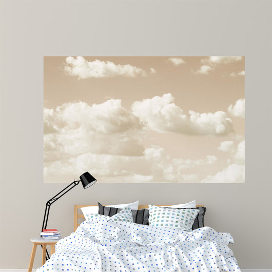 Vintage Sky Wall Decal