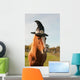 Pony dressed for Halloween Wall Mural