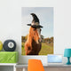 Pony dressed for Halloween Wall Mural