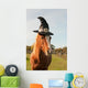 Pony dressed for Halloween Wall Mural