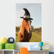 Pony dressed for Halloween Wall Mural