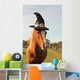 Pony dressed for Halloween Wall Mural