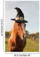 Pony dressed for Halloween Wall Mural