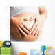 pregnant lady Wall Mural