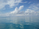 Sky and Sea Wall Decal