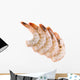 Fresh Shrimps Wall Decal