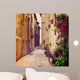 Street Pienza Wall Decal