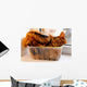 Somali cat inside box Wall Mural