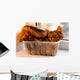 Somali cat inside box Wall Mural