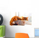 Cute cat in a box Wall Mural