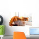 Cute cat in a box Wall Mural