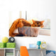 Cute cat in a box Wall Mural
