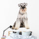 miniature schnauzer dog Wall Decal