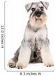 miniature schnauzer dog Wall Decal
