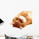 Ginger Cat Wall Decal