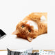 Ginger Cat Wall Decal