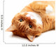 Ginger Cat Wall Decal