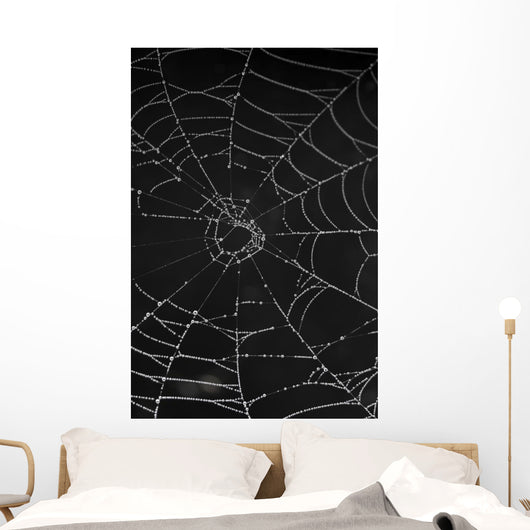 cobweb with morning dew Wall Mural