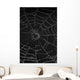 cobweb with morning dew Wall Mural