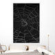 cobweb with morning dew Wall Mural