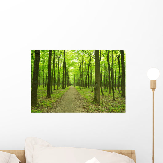 forest green Wall Mural