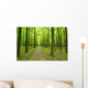 forest green Wall Mural