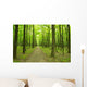 forest green Wall Mural