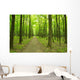 forest green Wall Mural