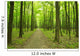 forest green Wall Mural