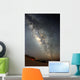 Milky Way Wall Mural