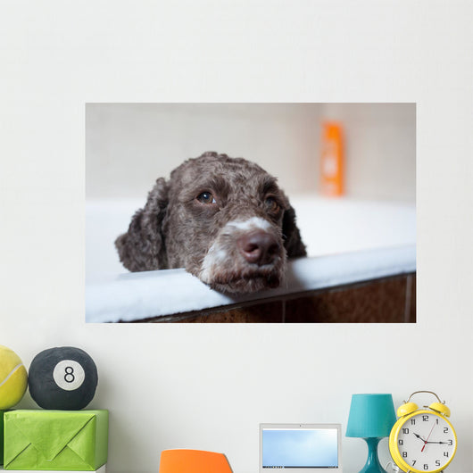 dog before bath Wall Mural