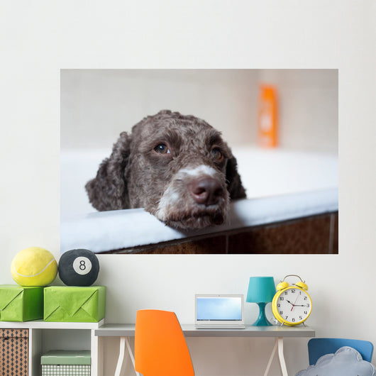 dog before bath Wall Mural