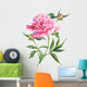 Pink peonies botanical watercolor Wall Decal