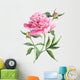 Pink peonies botanical watercolor Wall Decal